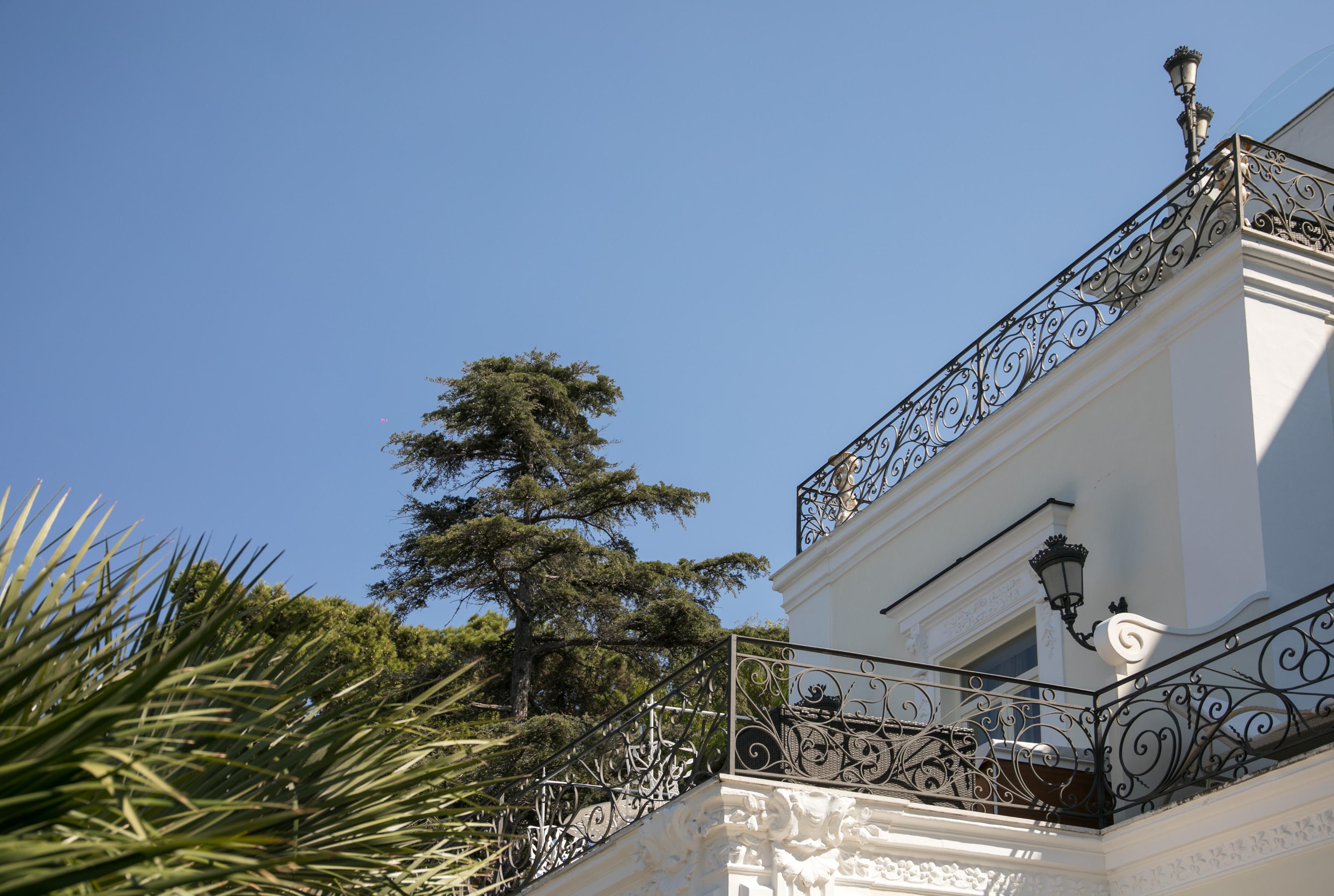 Luxury Villa Excelsior Parco Κάπρι Εξωτερικό φωτογραφία